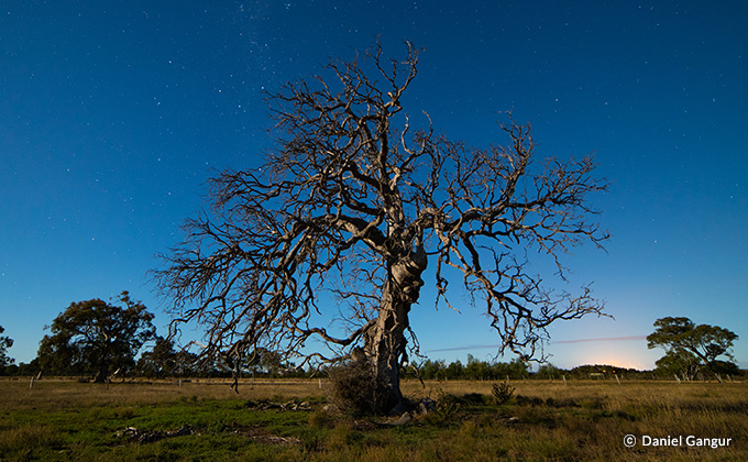Samyang 森養 14mm F2.8 RF 鏡頭 (Canon EOS RF 接口) - Samyang 森養最暢銷的廣角攝影鏡頭 Samyang 森養 14mm F2.8 RF 鏡頭 (Canon EOS RF 接口) - Samyang 森養最暢銷的廣角攝影鏡頭