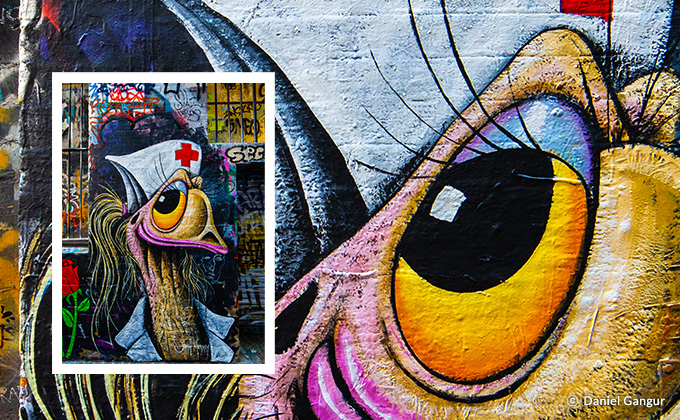 Samyang 森養 14mm F2.8 RF 鏡頭 (Canon EOS RF 接口) - 採用獨特優質的鏡片組合，從以提高解像度